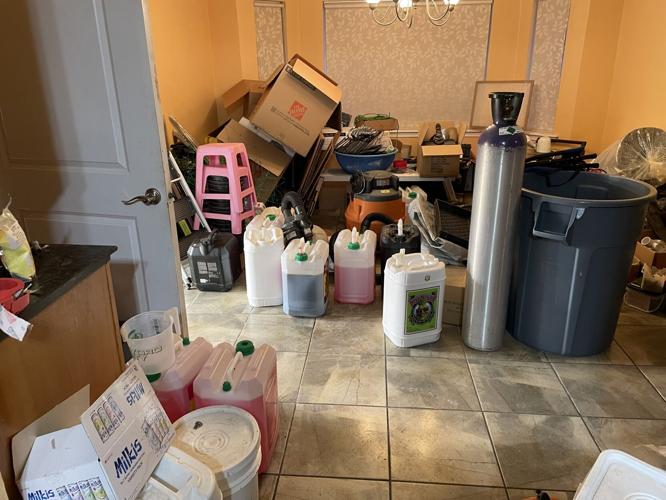 Marijuana search warrant brings Josephine County arrests, plants