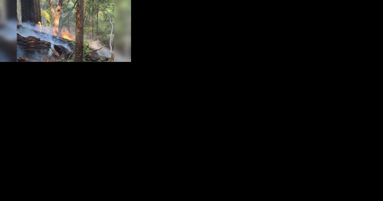 Lightning fires fill the Rogue Valley - Vimarsana News