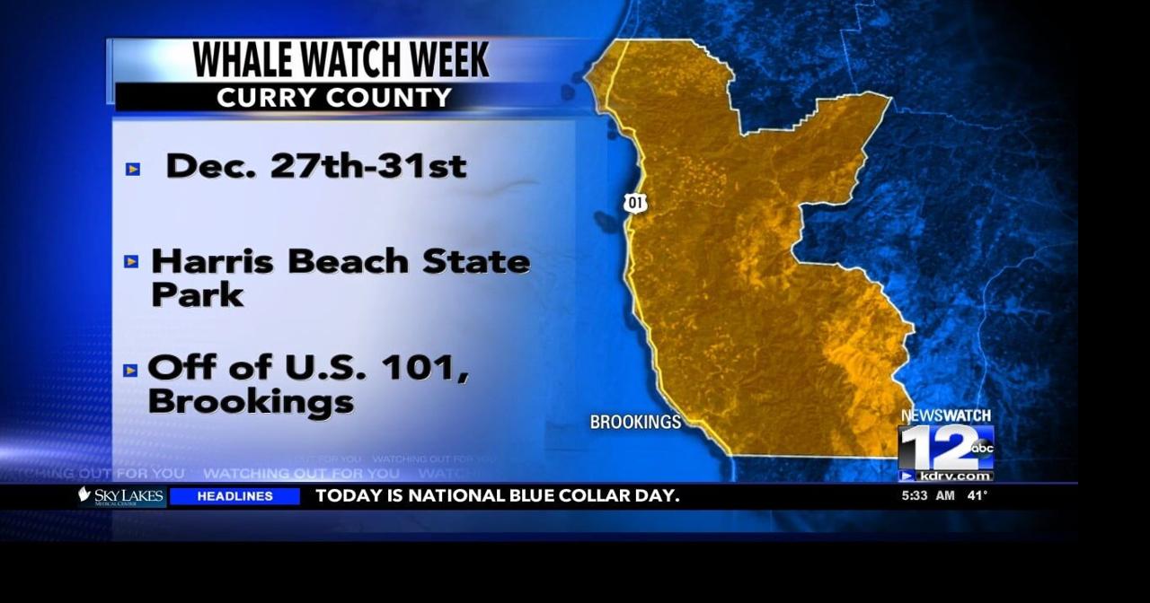 Whale Watch Week happening later this month Video
