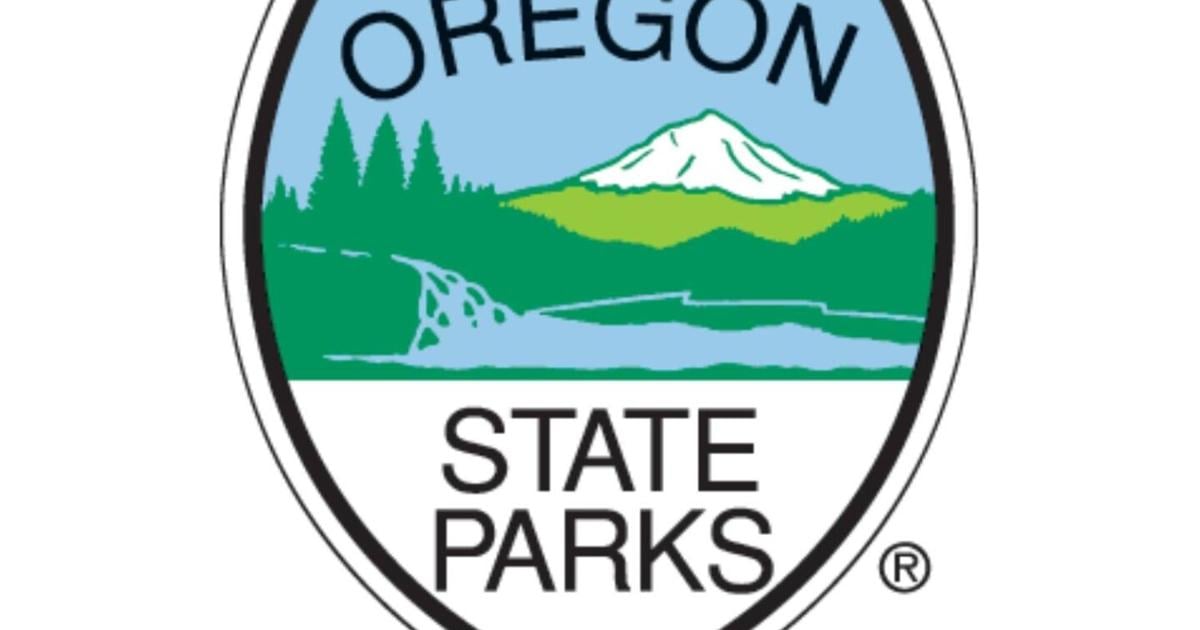 66de81c452beb.image.jpg?crop=1440,756,0,