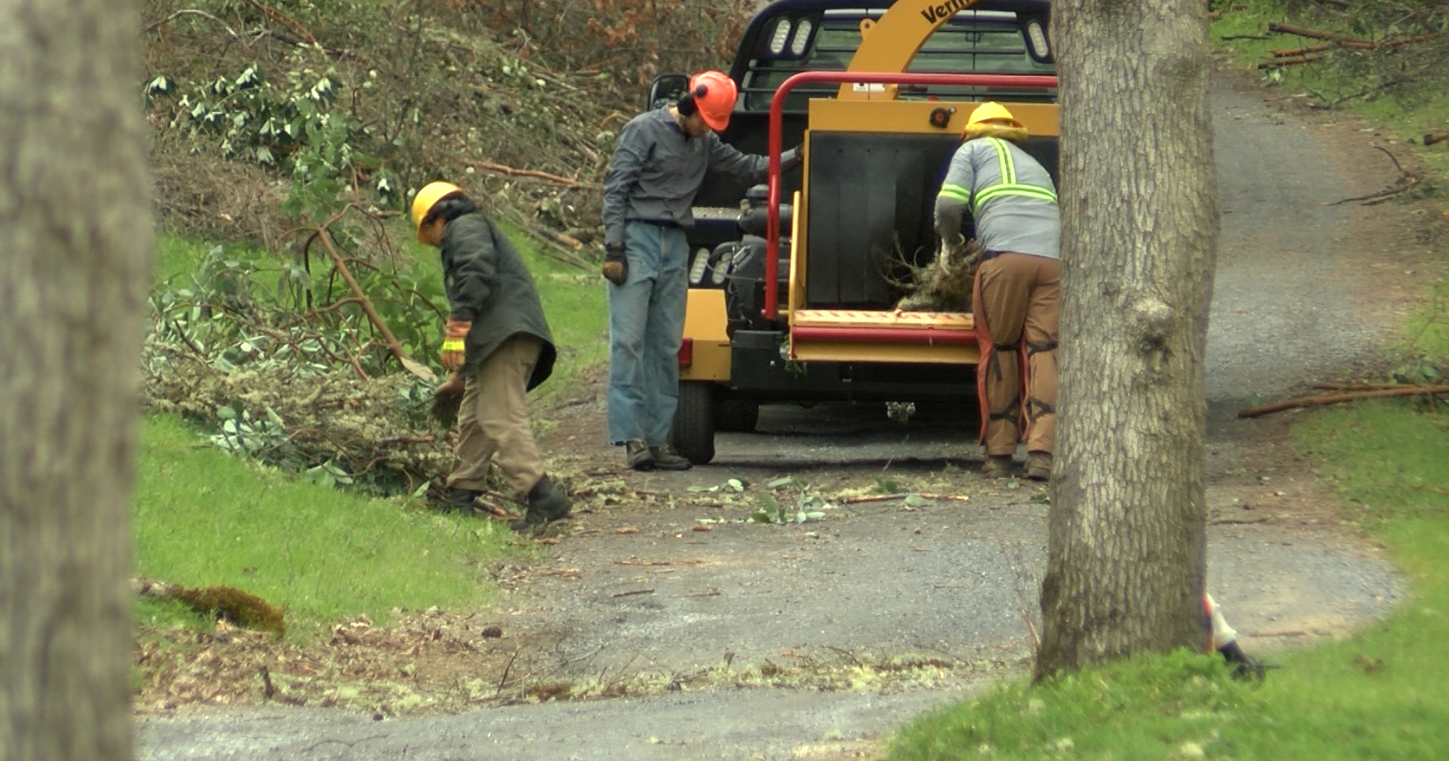 Fire District has woodchipper available for public use - Vimarsana News