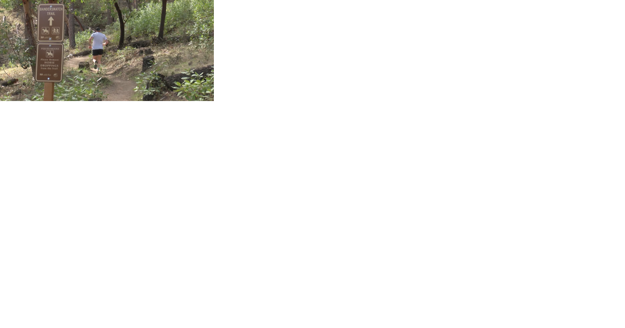 Trail closures from helicopter logging project now in effect - Vimarsana News