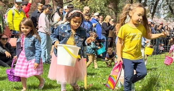 67f1cd856e0da.image.jpg?crop=600,315,0,4