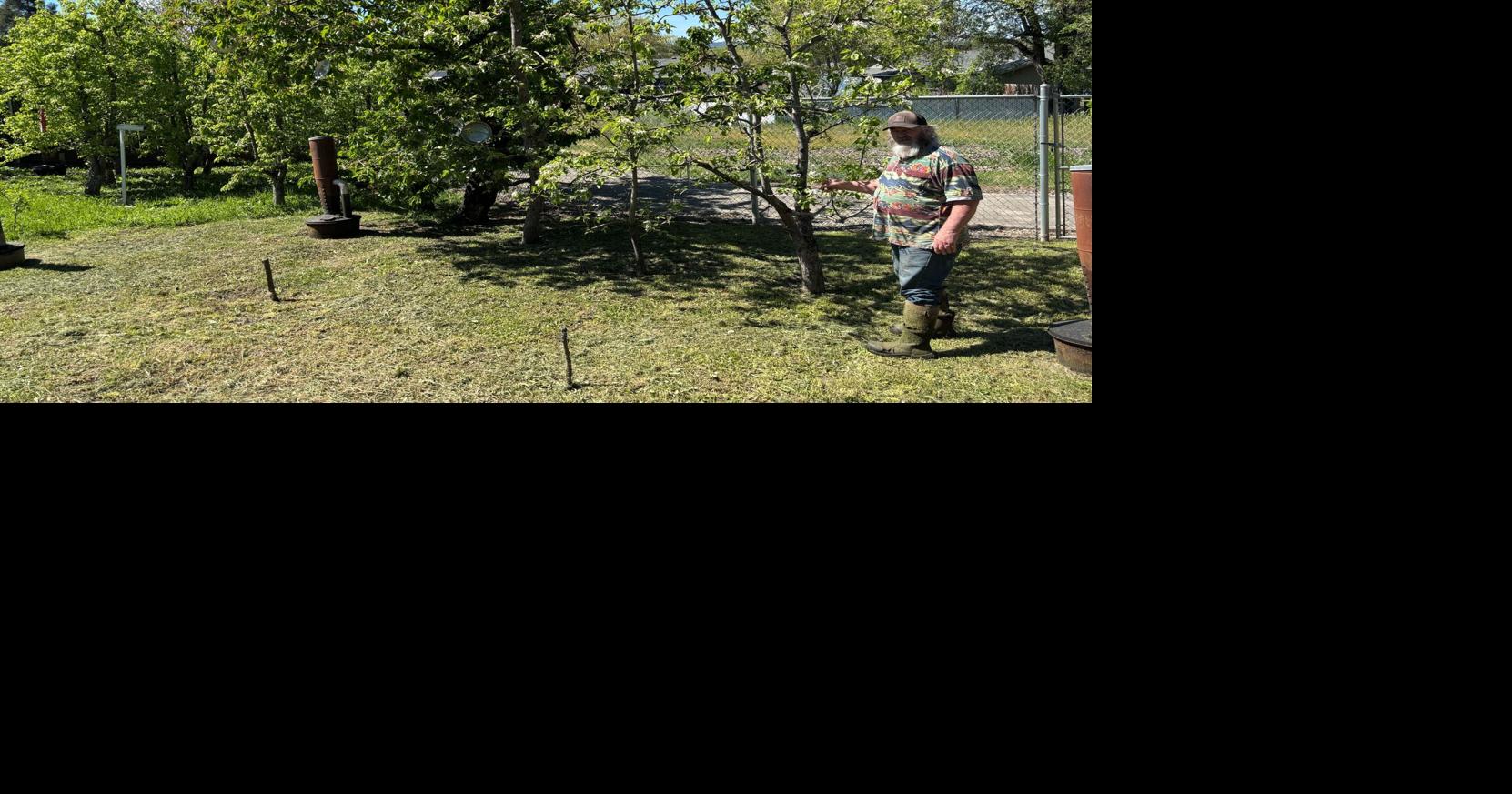 69d43f34c1cc1.image.jpg?crop=1662,873,0,