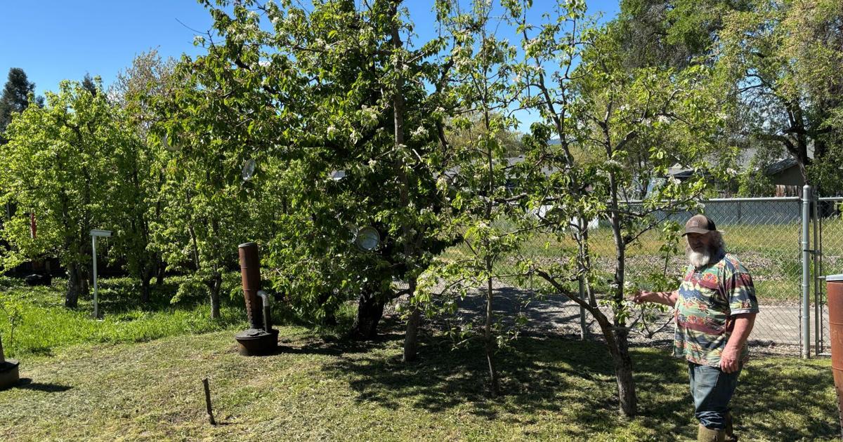 69d43f34c1cc1.image.jpg?crop=1662,873,0,