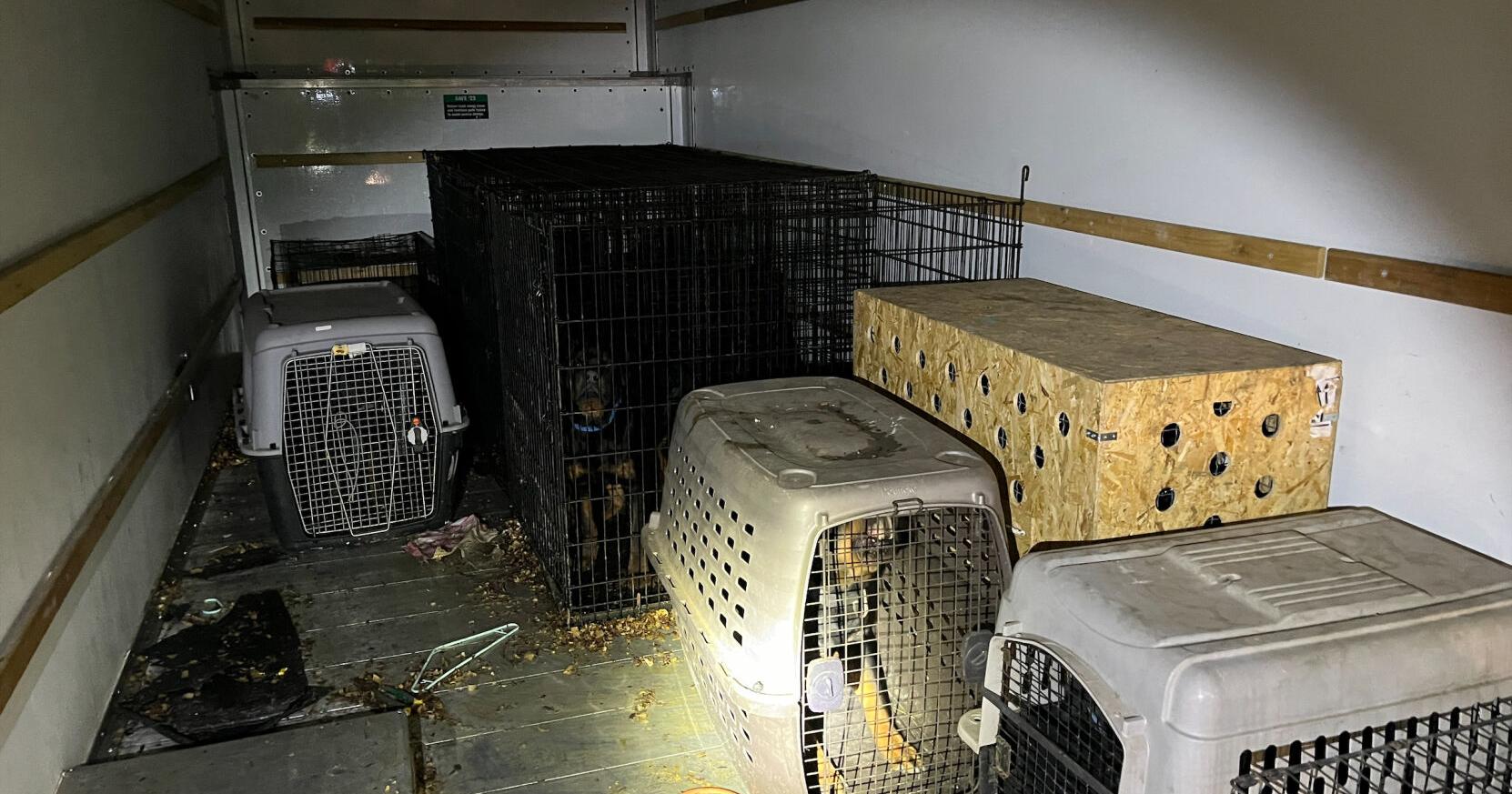 Klamath Falls dogs neglect/abandonment hearing canceled today for plea change next month - Vimarsana News