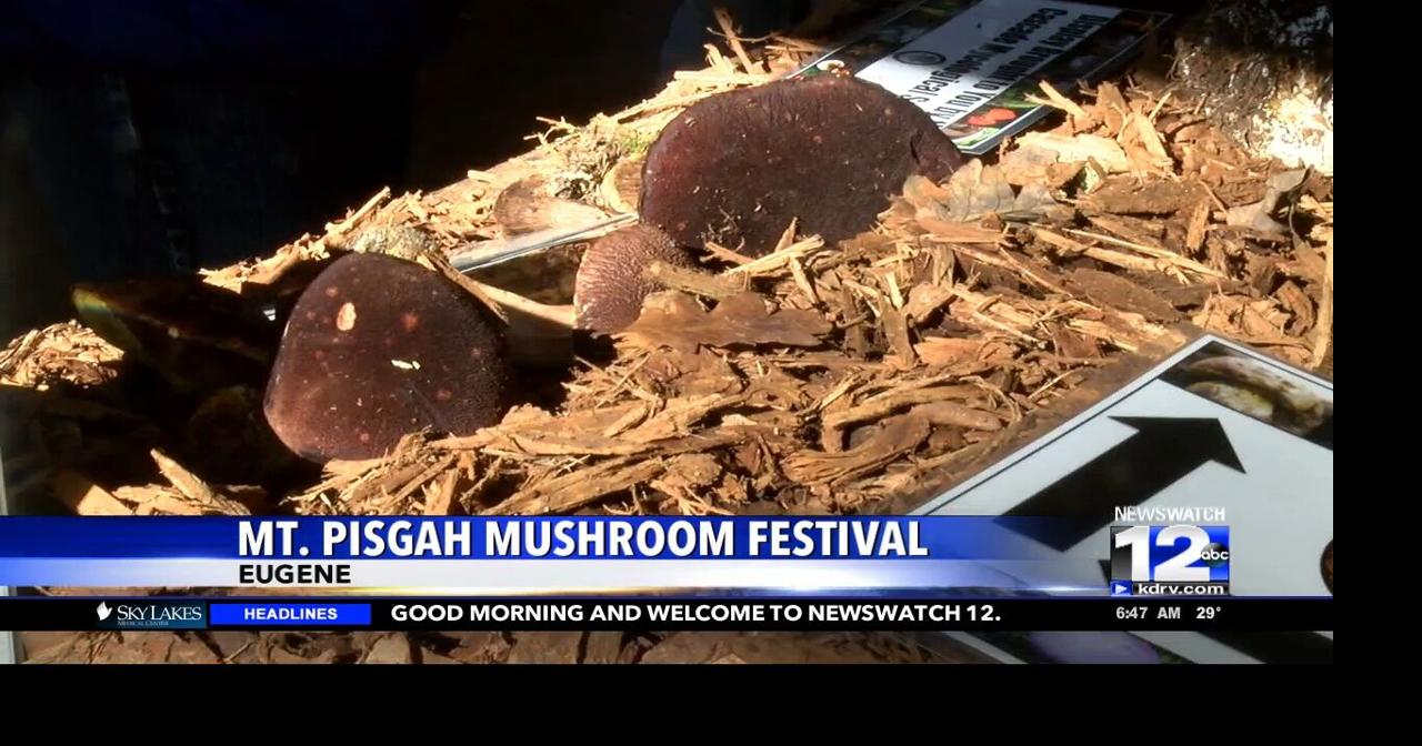 Mt. Pisgah Mushroom Festival happening in Eugene Video