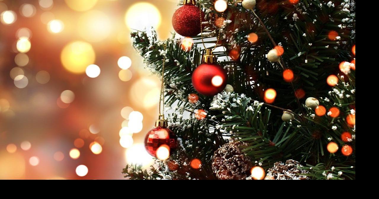 Ashland farmer giving Christmas trees a second life