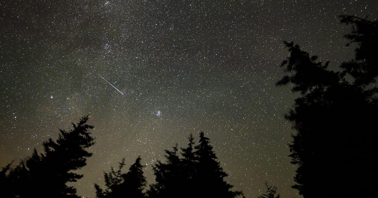 Meteors will streak across the sky in one of the year's most anticipated celestial displays | National - Vimarsana News