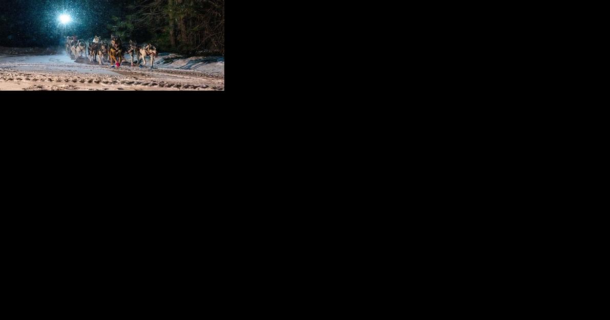 Oregon mushers complete in Idaho Sled Dog Competition - Vimarsana News