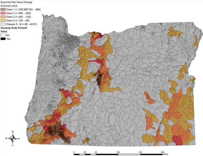ODF treatment areas.JPG
