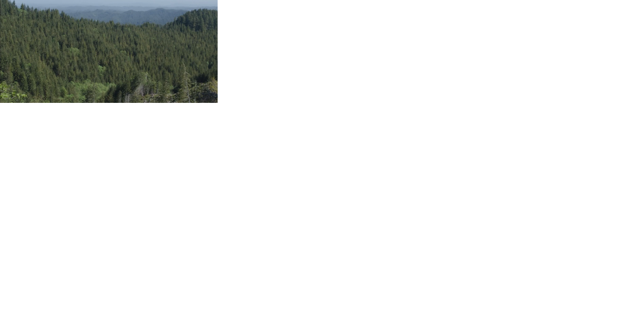 Three conservation groups challenging BLM forest plan in Medford federal court - Vimarsana News