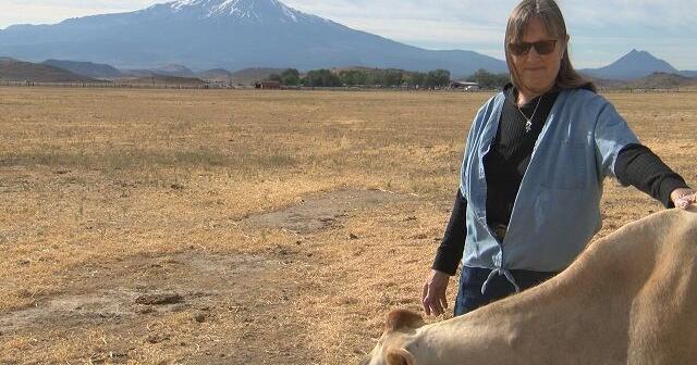 Lokale Bauernhöfe kämpfen, während die Rekordgas- und Dieselpreise weiter steigen – KDRV Lokale Bauernhöfe kämpfen, während die Rekordgas- und Dieselpreise weiter steigen – KDRV
