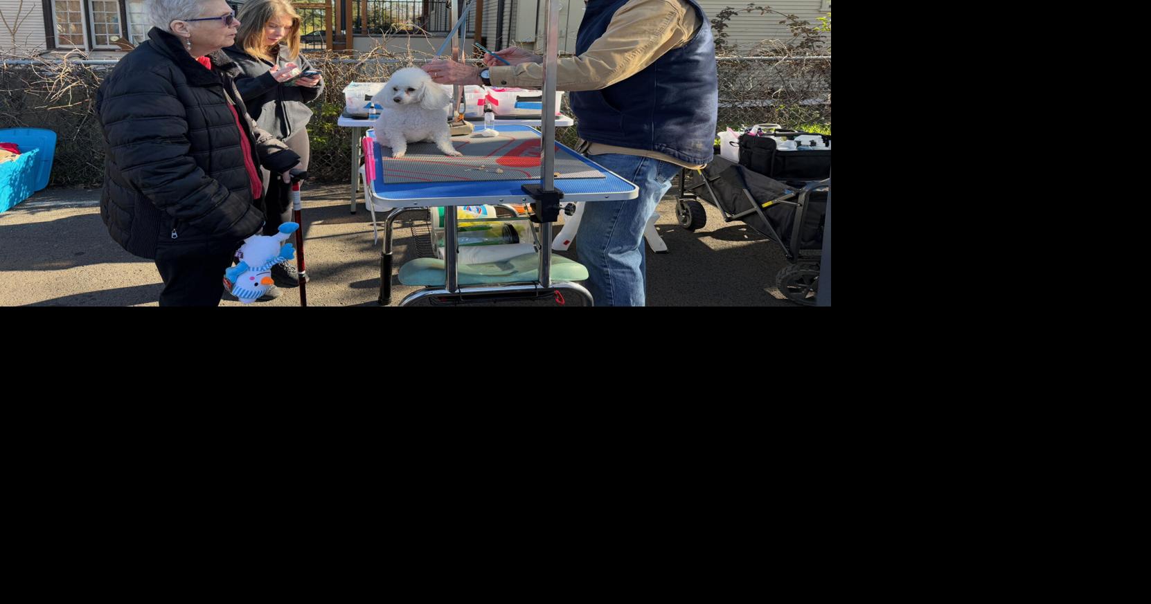 Breaking down barriers to pet care with Rogue Valley Street Dogs | Top ...