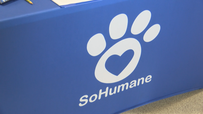 Adoption events near me tomorrow on sale