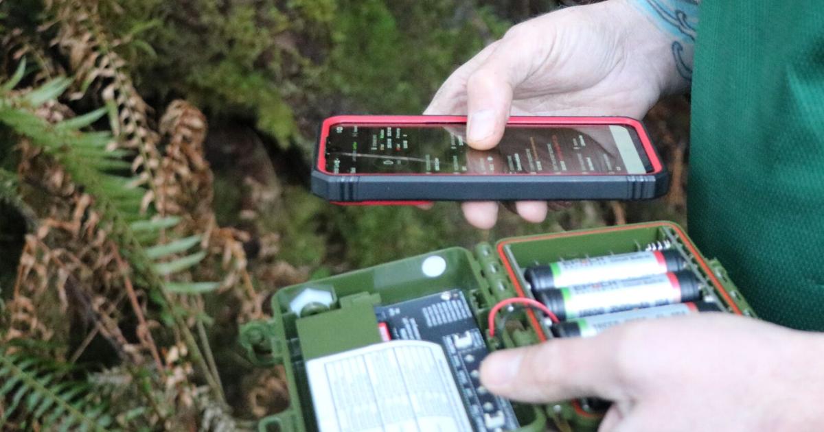 69dfe7632c501.image.jpg?crop=1615,848,0,