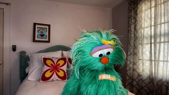 sesame street plush rosita