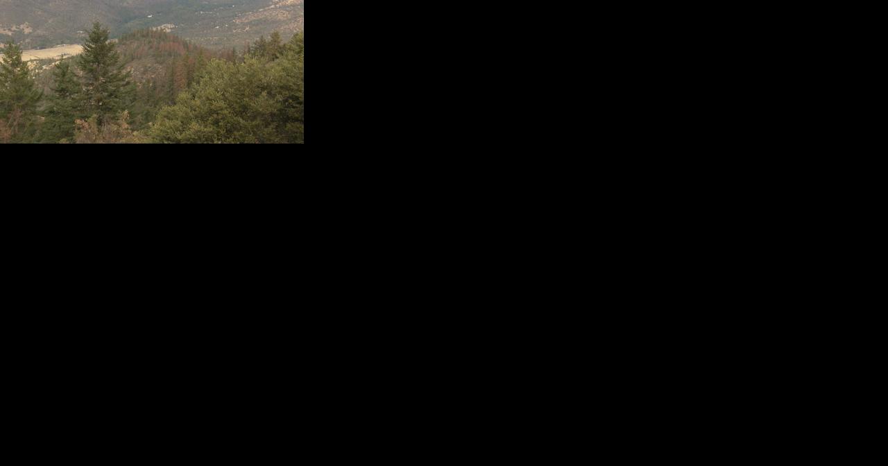 BLM asks for public input on removal of dead Douglas Firs - Vimarsana News