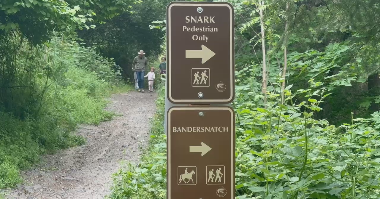 Ashland helicopter logging project ends, opening back up hiking trails - Vimarsana News