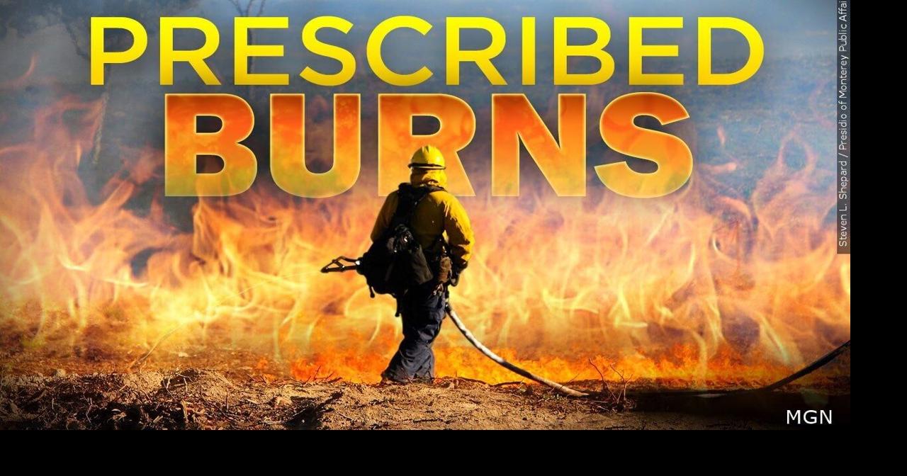Shasta-Trinity National Forest plans prescribed burns | FireWatch ...