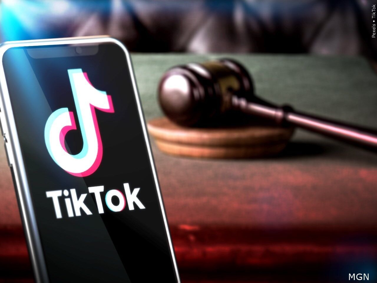 how to verify blox link｜TikTok Search