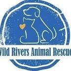 Curry County, Wild Rivers Animal Rescue negotiating animal services - Vimarsana News