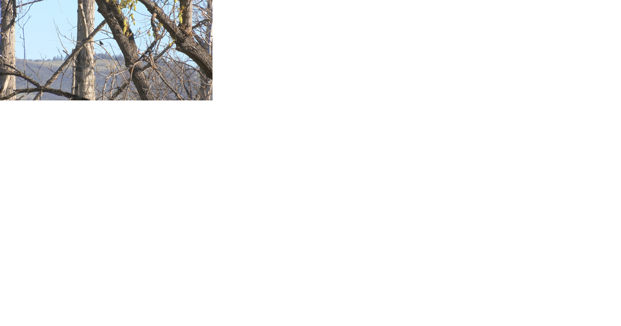 Consulting organization protects biodiversity during the Bear Creek Greenway Project - Vimarsana News