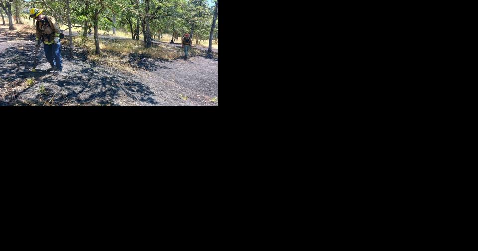 Grass fire contained in Murphy - Vimarsana News