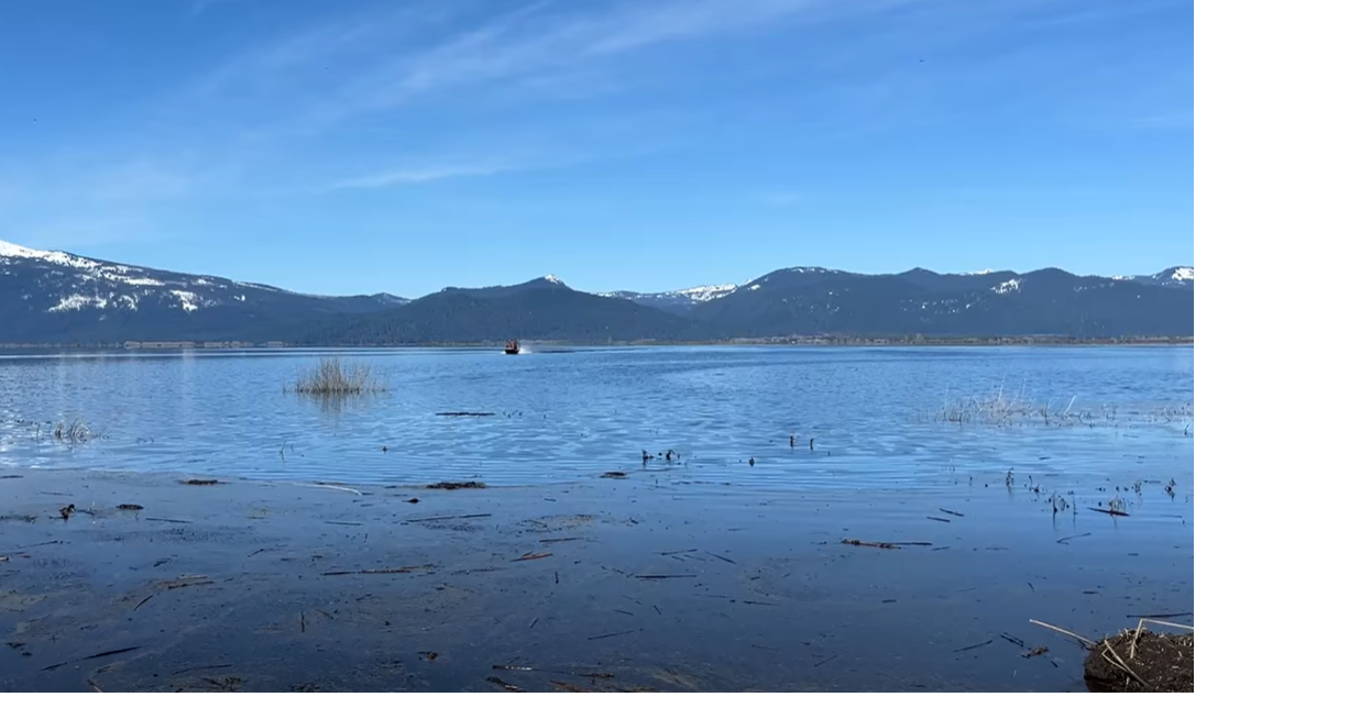 Agency Lake precaution: safer for people, still risky for animals