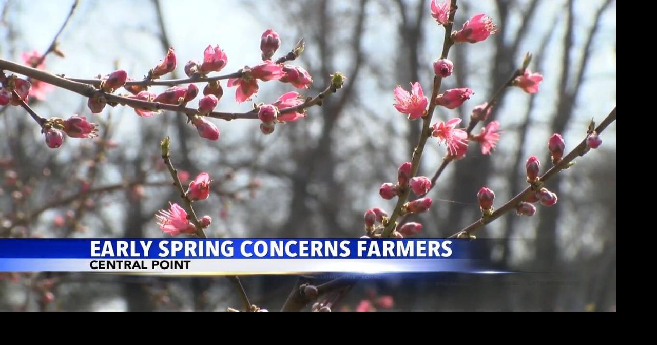 Early spring concerns farmers in Southern Oregon