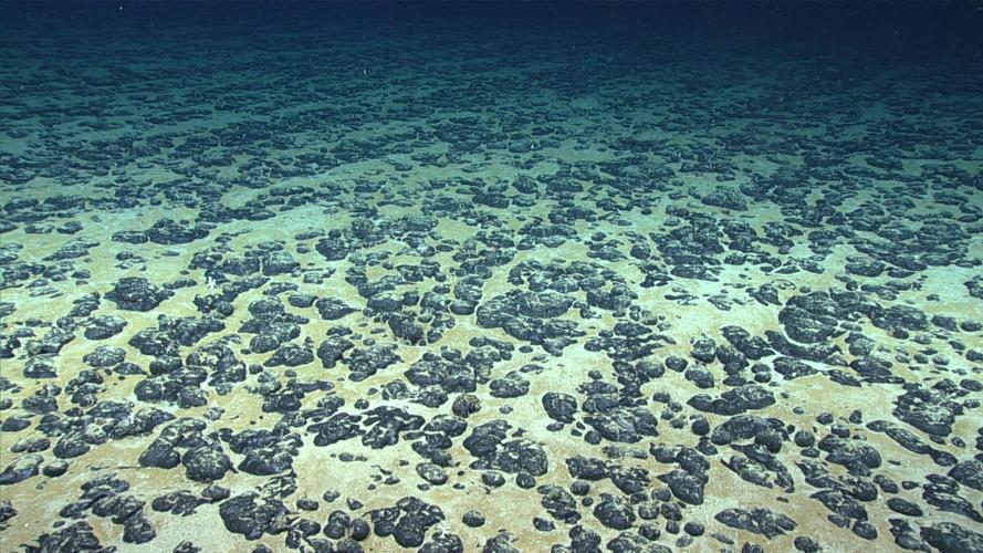 What causes ocean waves? : Ocean Exploration Facts: NOAA Ocean