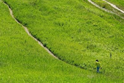 Ontario integrity commissioner, auditor general to launch Greenbelt investigations