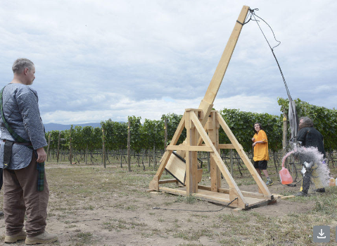 Okanagan wine industry uprooted by gov’t order