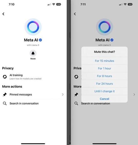 How Meta's AI systems are using your data and why opting out is not so simple