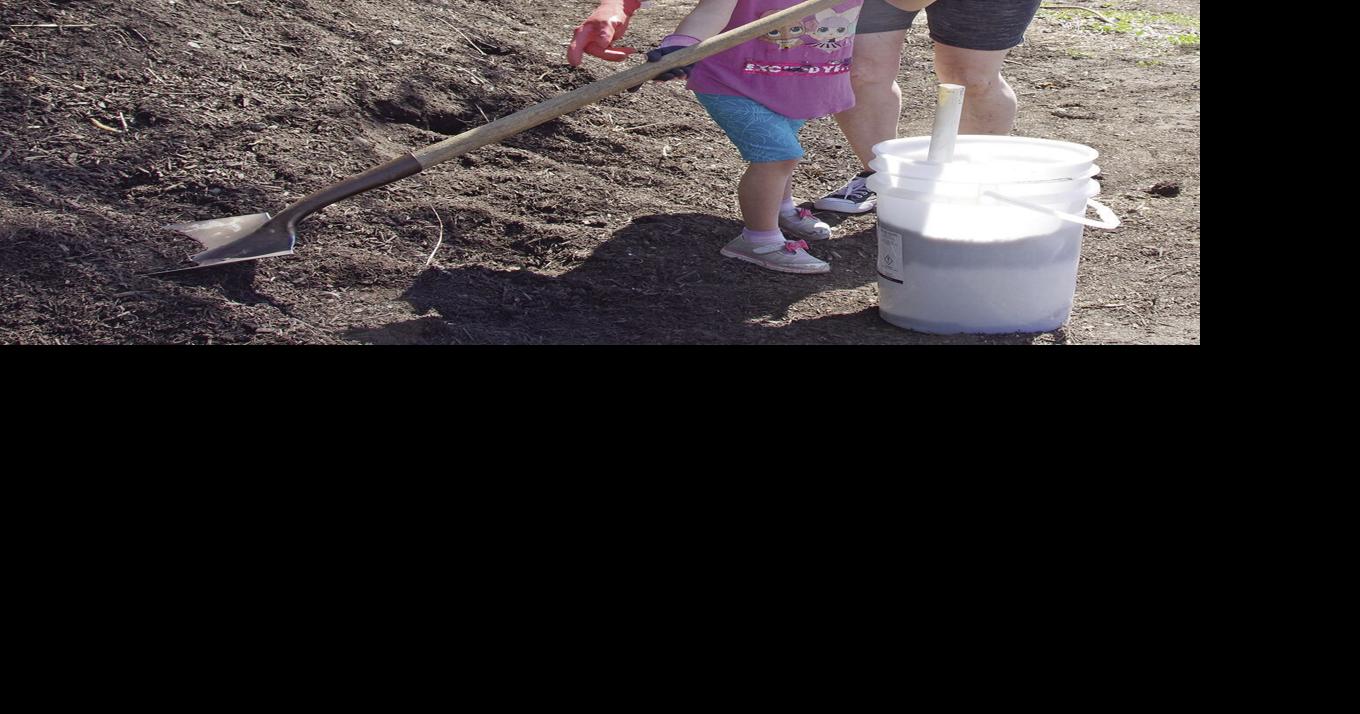 Beat food inflation with a bucket garden | News | kelownadailycourier.ca