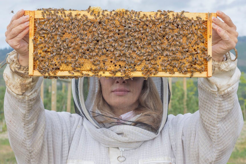 4A-6-2020-WEB-Beekeeper-Hiveology.jpg