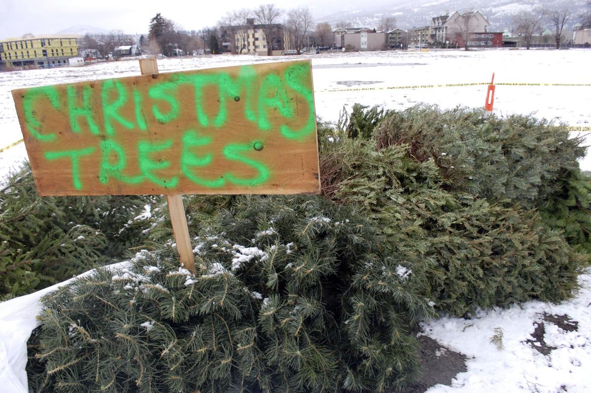 Where to toss that Christmas tree? News kelownadailycourier.ca