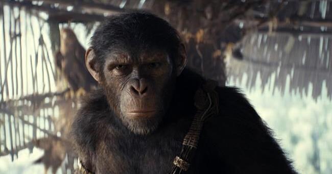 Summer Movies: 5 breakout stars to watch in 'Sing Sing,' 'Quiet Place, 'Horizon' and more - Vimarsana News