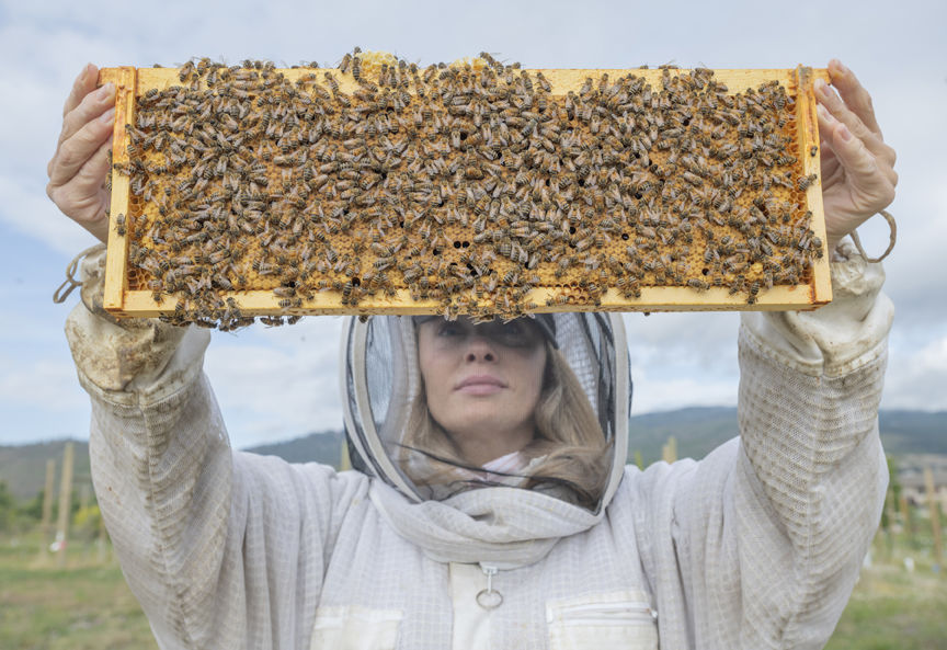 4-6-2020-WEB-Beekeeper-Hiveology.jpg