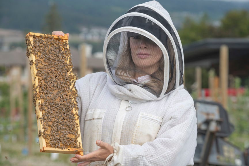 3-6-2020-WEB-Beekeeper-Hiveology.jpg