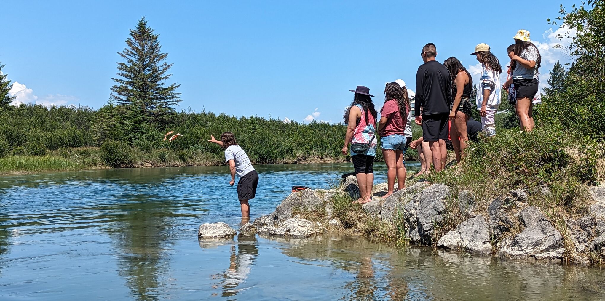 It takes a river of people to bring the salmon home