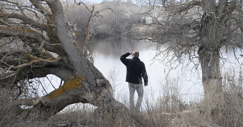 Kelowna's pond protectors OK with Burtch Road extension - Vimarsana News