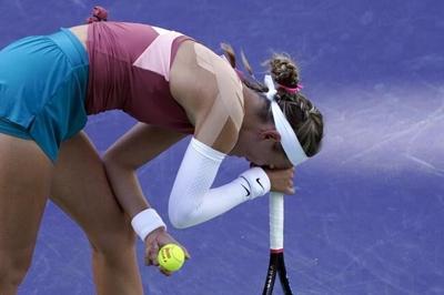 Fernandez beats Rogers to move on at Indian Wells, Shapovalov eliminated