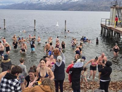 Polar bear dip