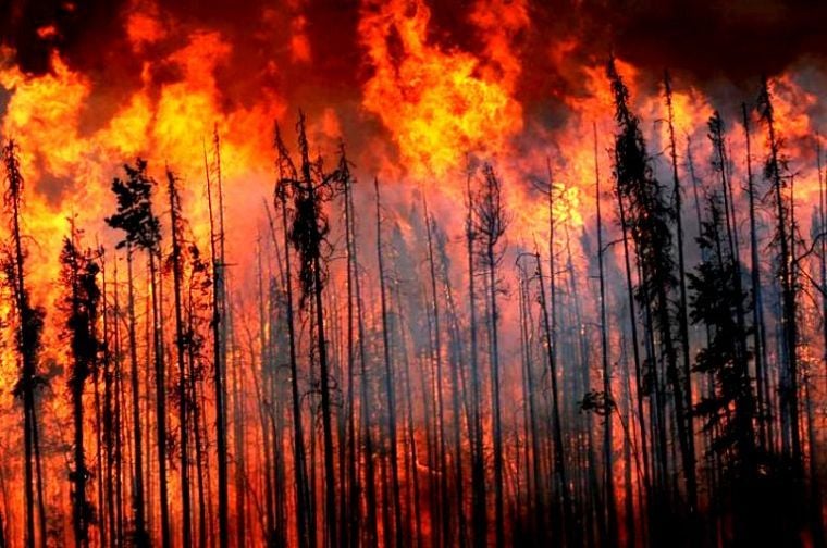 West Kelowna forest fires offer stark reminders | News ...