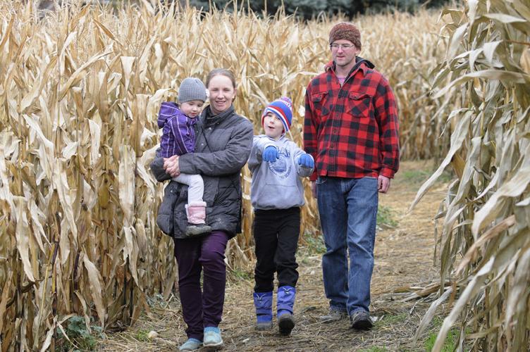 Kelowna Corn Maze Gallery kelownadailycourier.ca