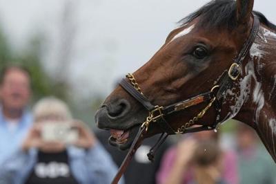 The 151st Kentucky Derby could be a mudder's delight with rain in the forecast