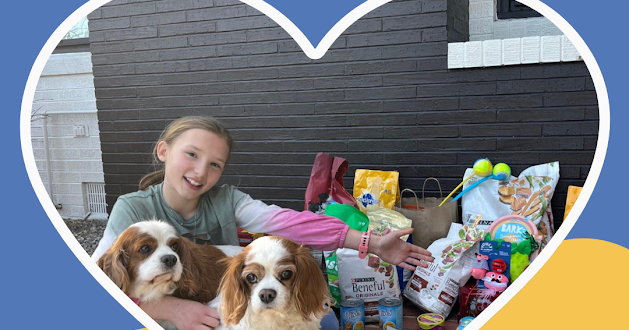 Donations sought for evacuated kids and pets