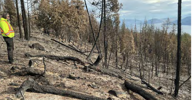 Wildfire leaves flood and landslide threat for years