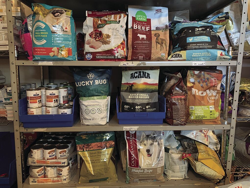 Pet food banks are now a permanent fixture News